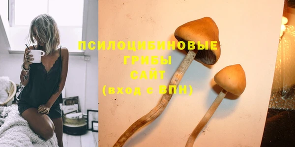 ешки Волоколамск